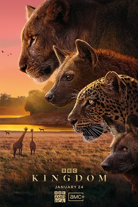 动物王国2025封面图