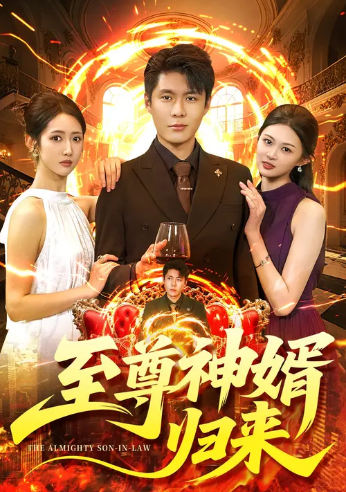 至尊神婿归来封面图