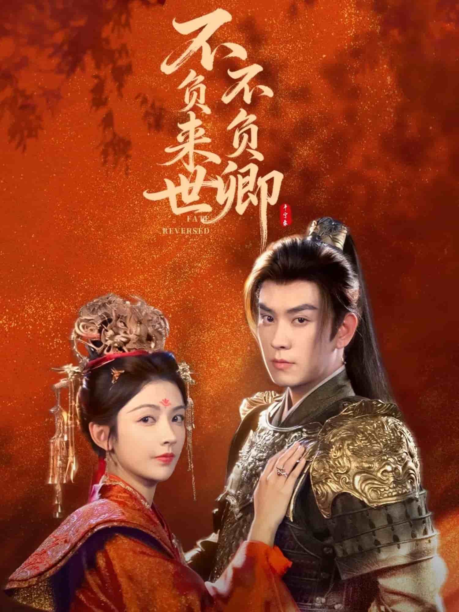 不负来世不负卿封面图