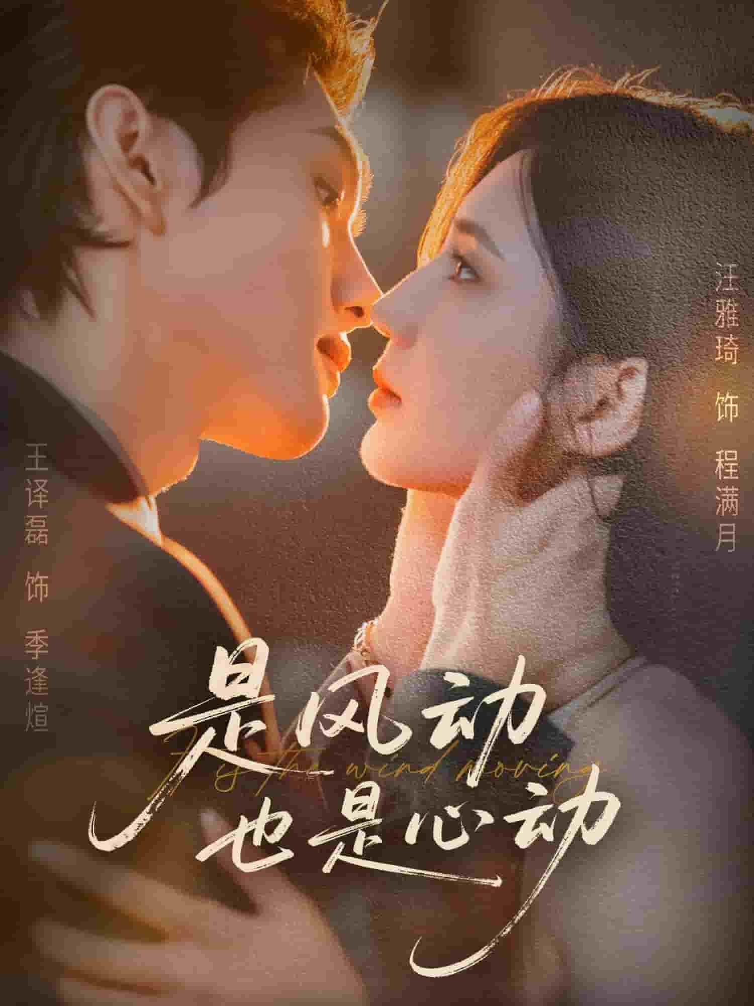 是风动也是心动封面图