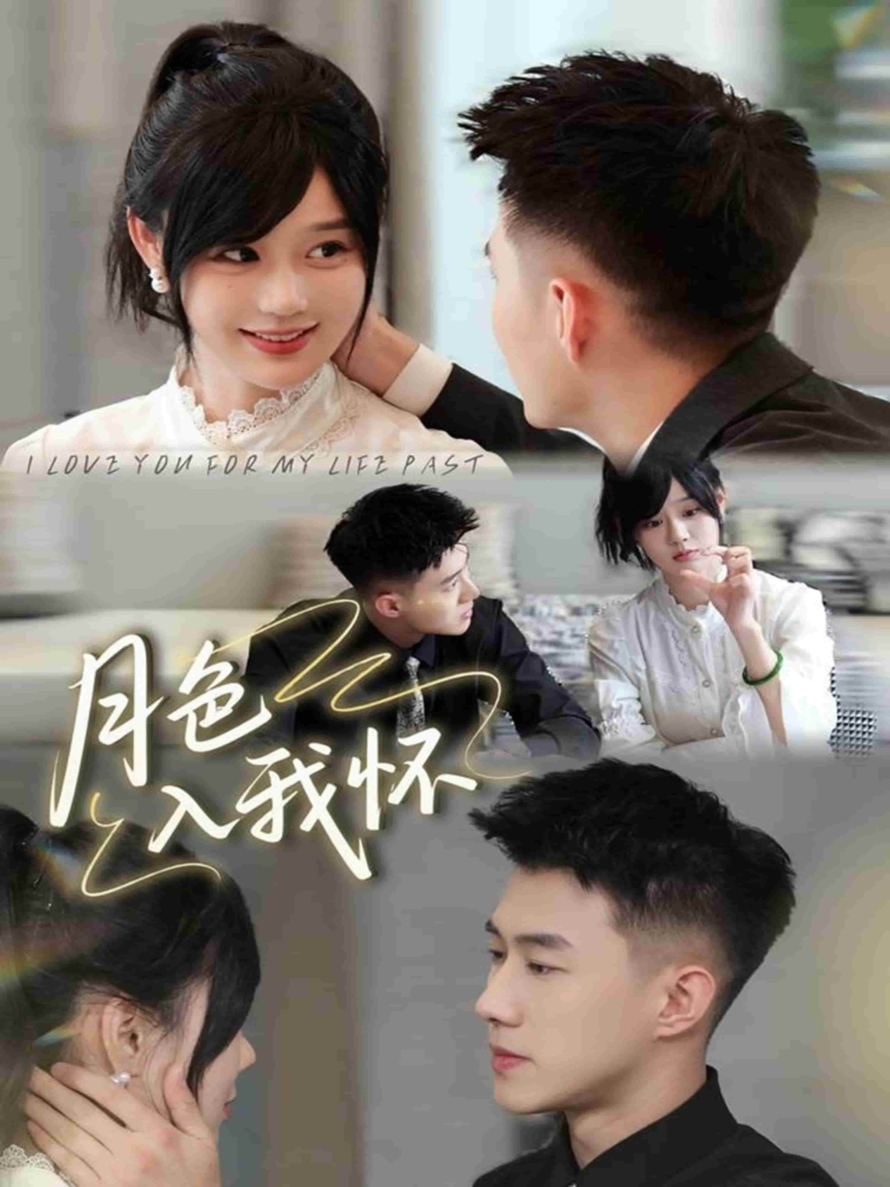 月色入我怀封面图