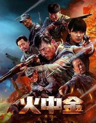 火中金封面图