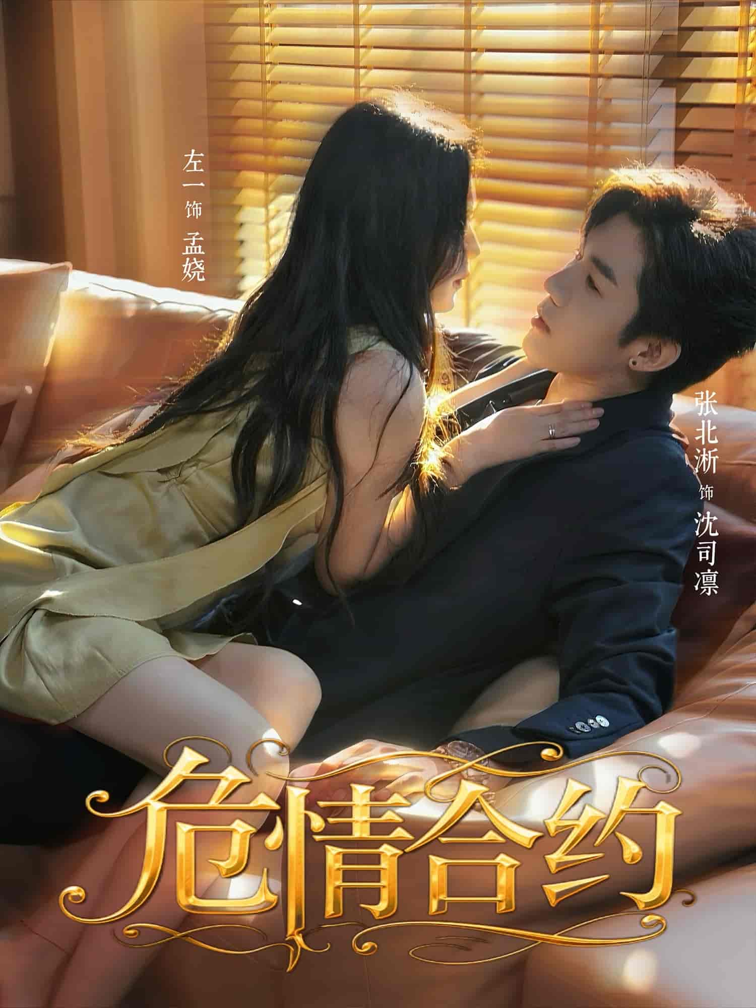 危情合约封面图