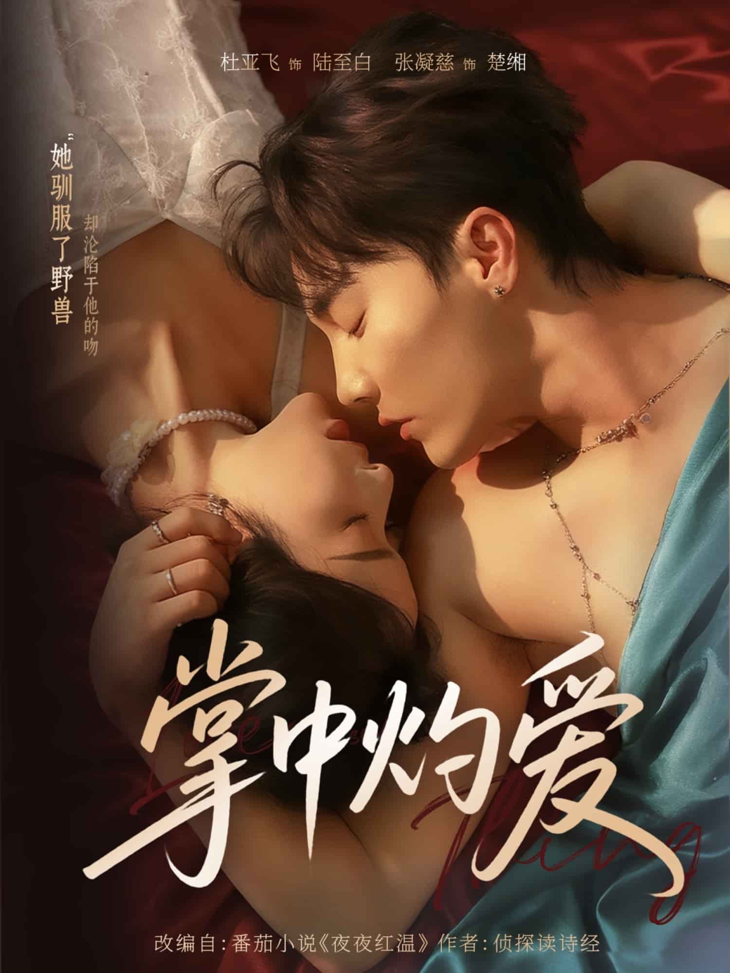 掌中灼爱封面图