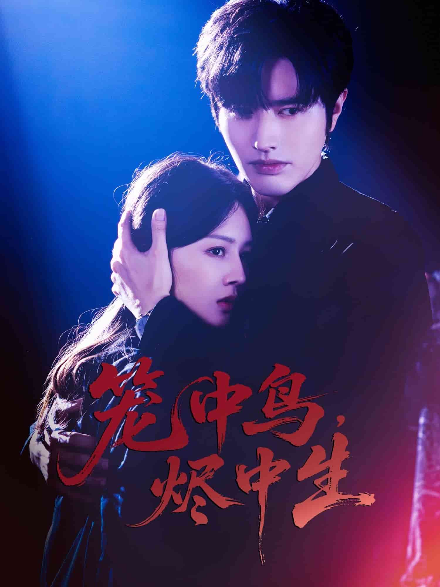 笼中鸟，烬中生封面图