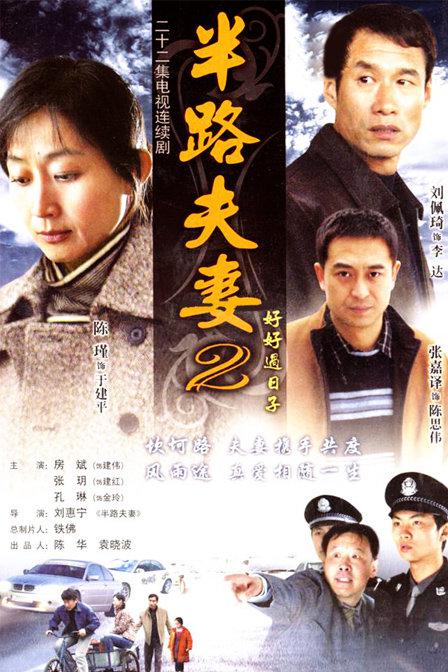 半路夫妻2封面图