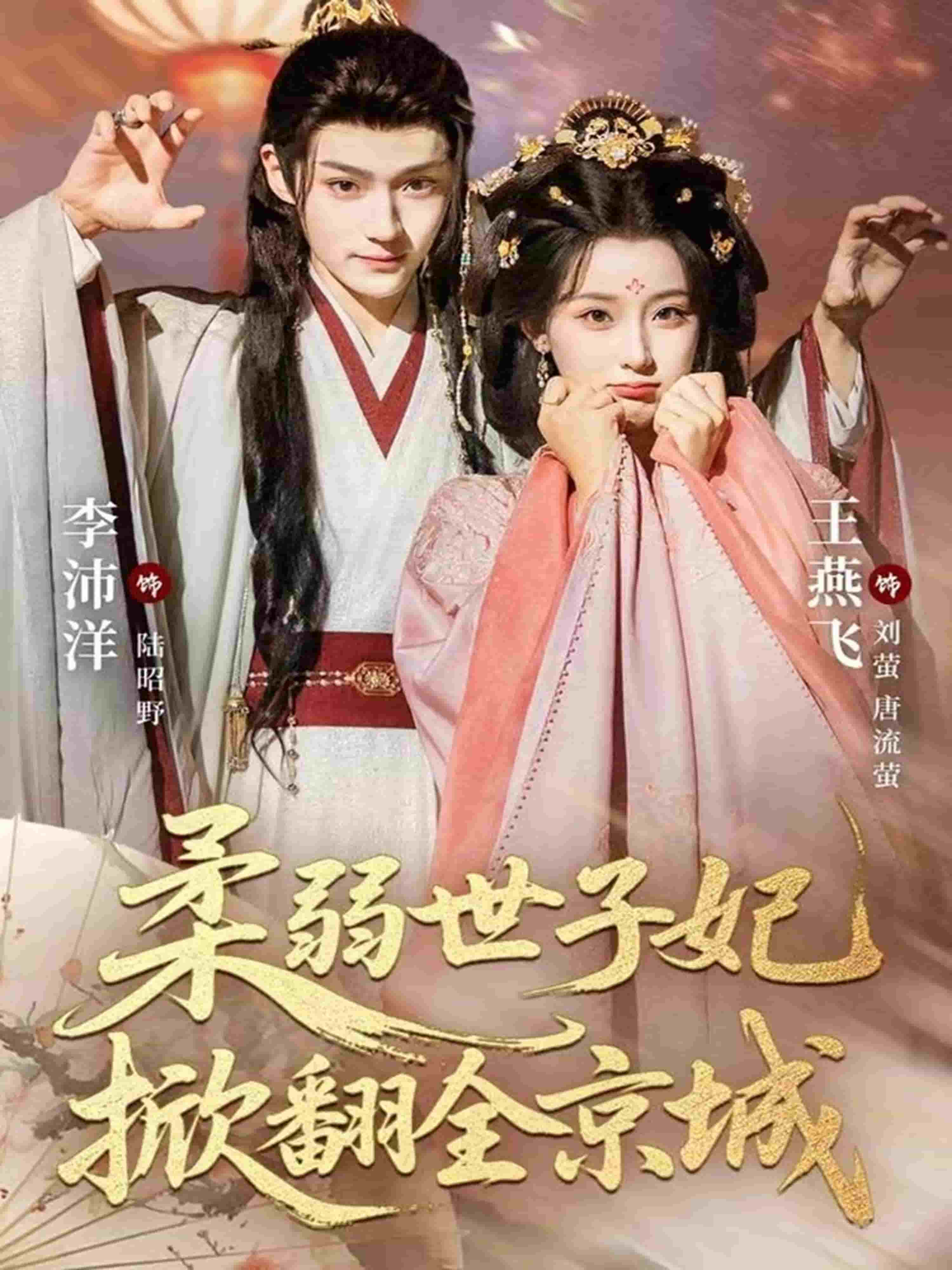 柔弱世子妃掀翻全京城封面图