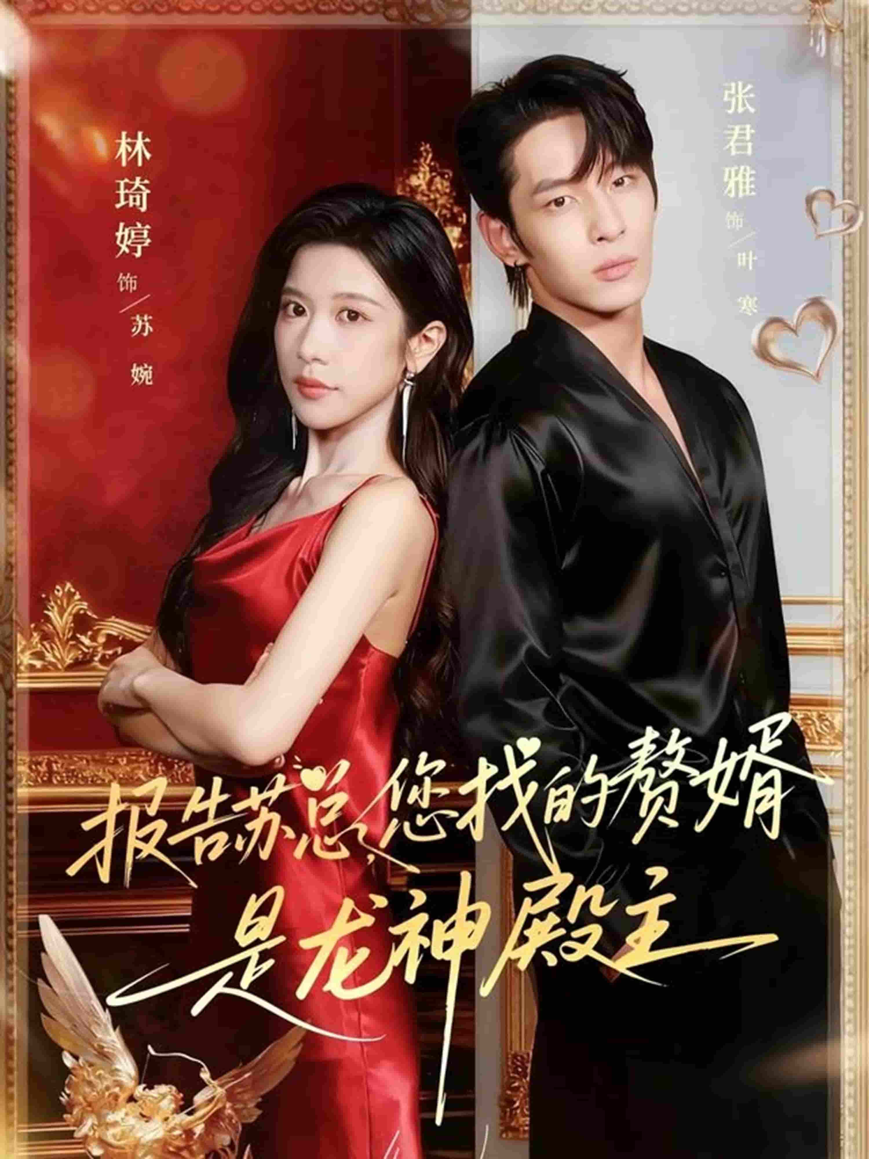 报告苏总，您找的赞婿是龙神殿主封面图