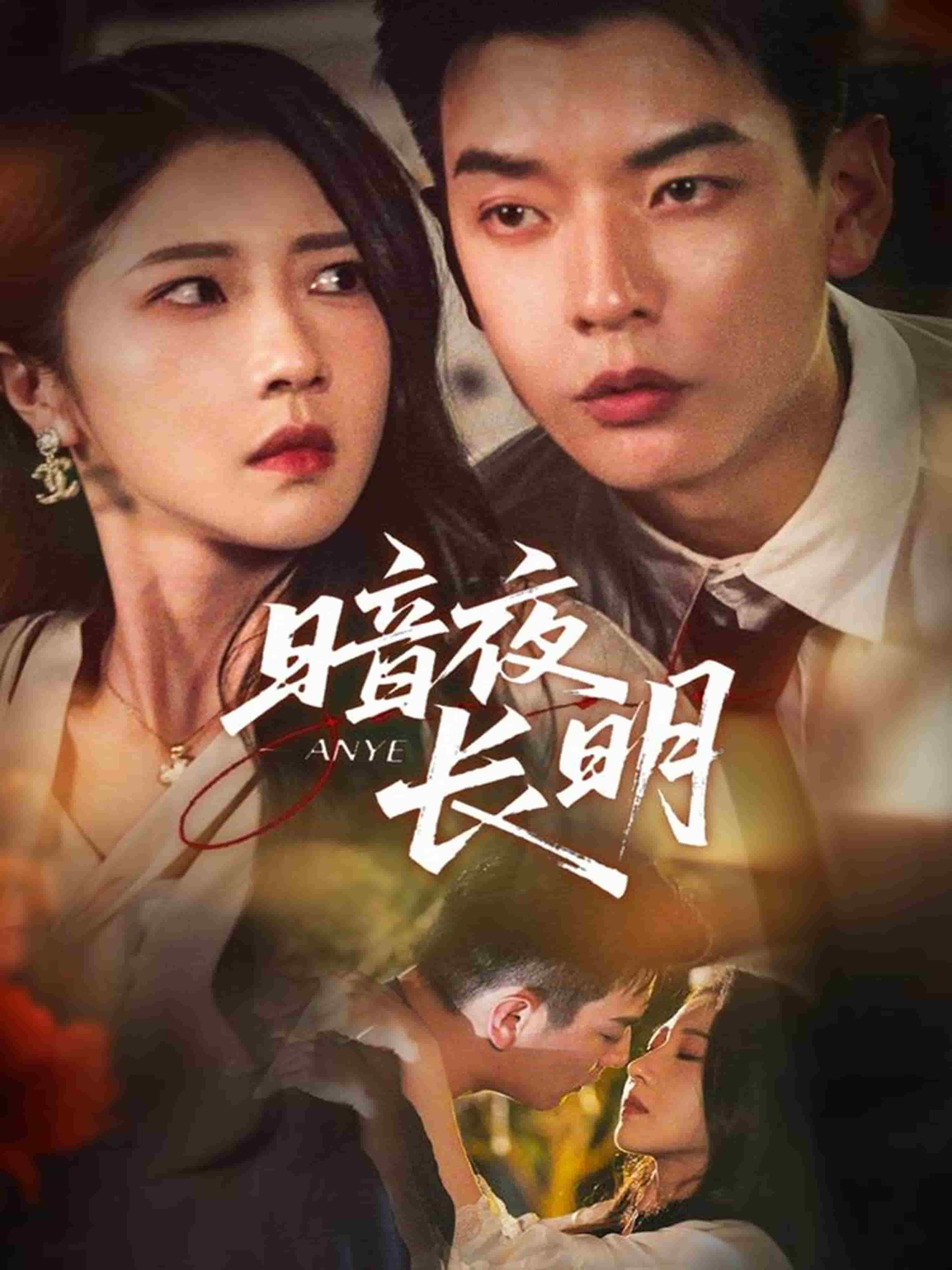 暗夜长明封面图