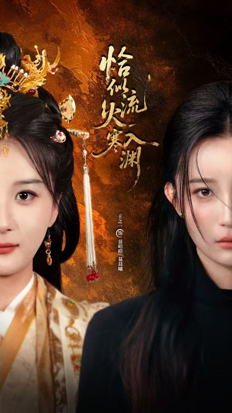 恰似流火入寒渊封面图