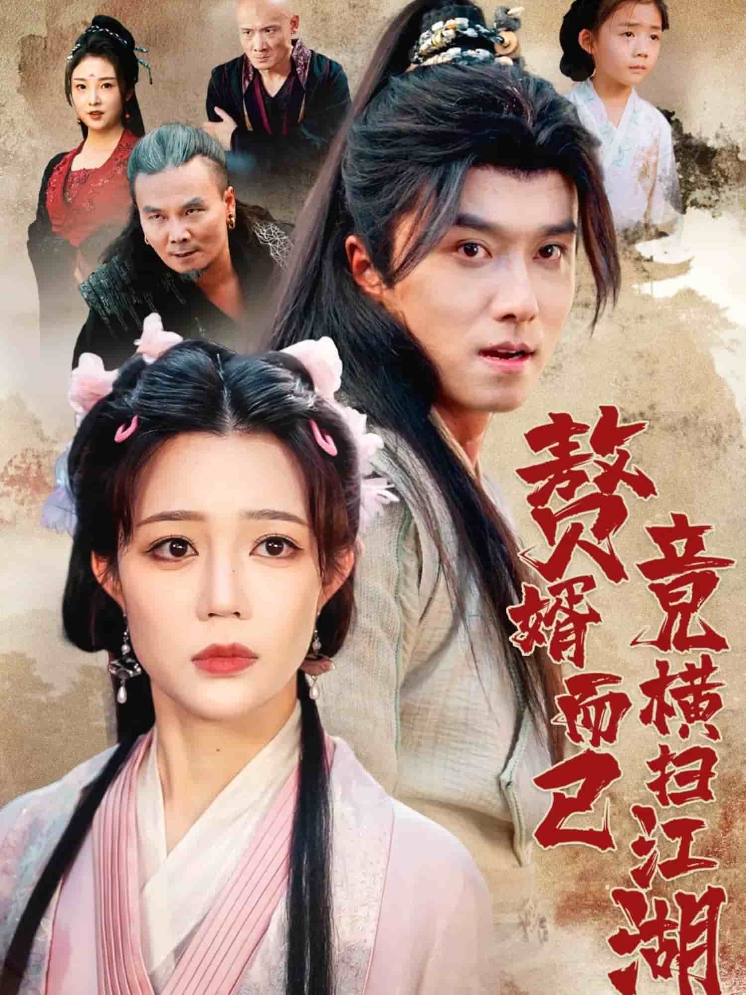 赘婿而已竟横扫江湖封面图