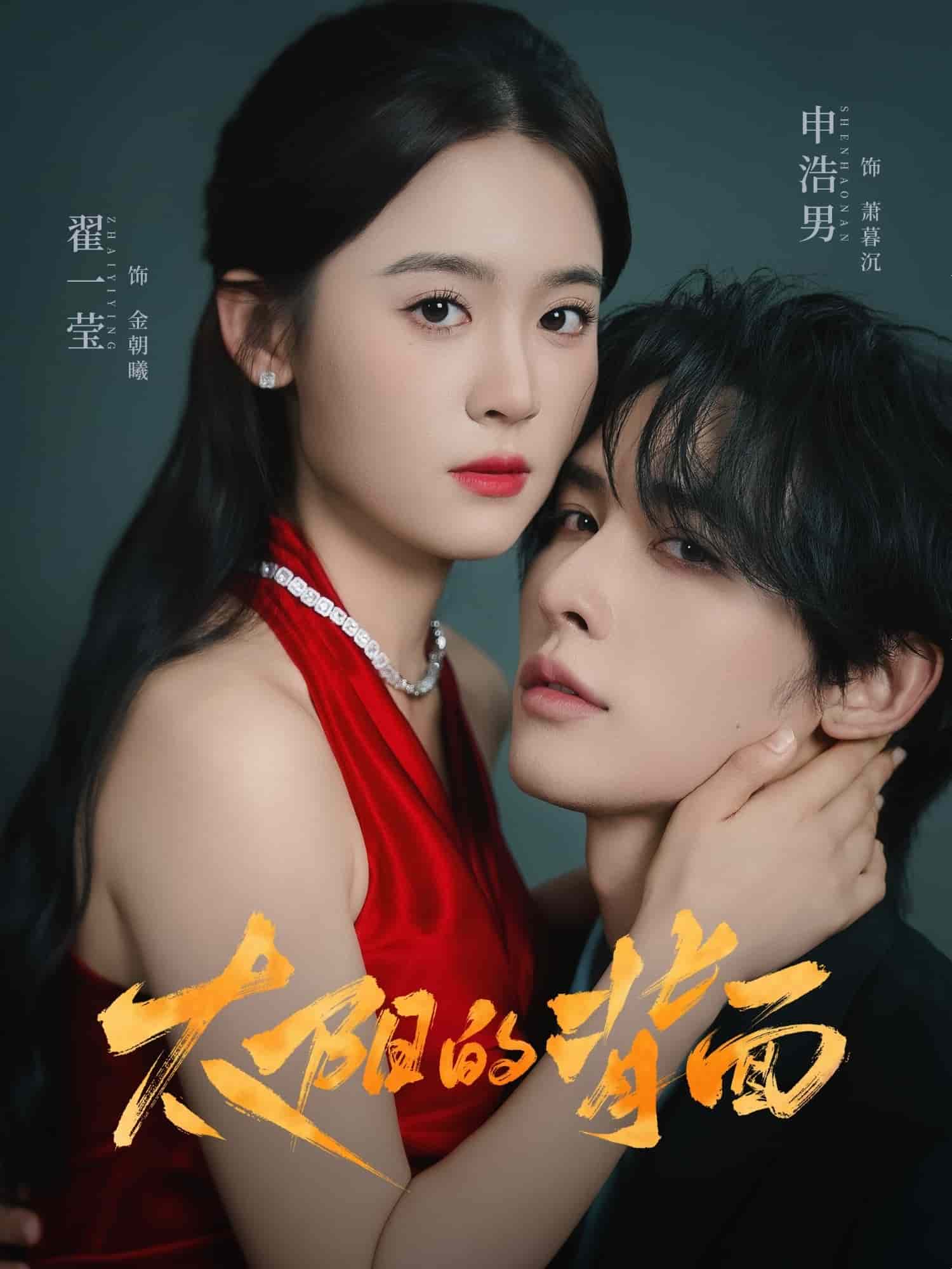 太阳的背面封面图