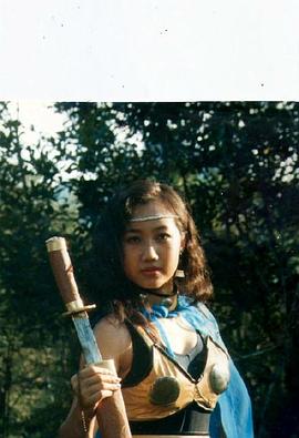 金粉红蝴蝶封面图