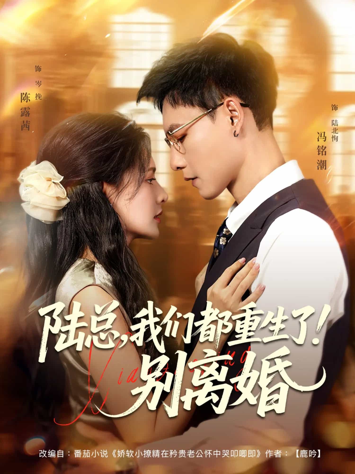 陆总我们都重生了别离婚封面图