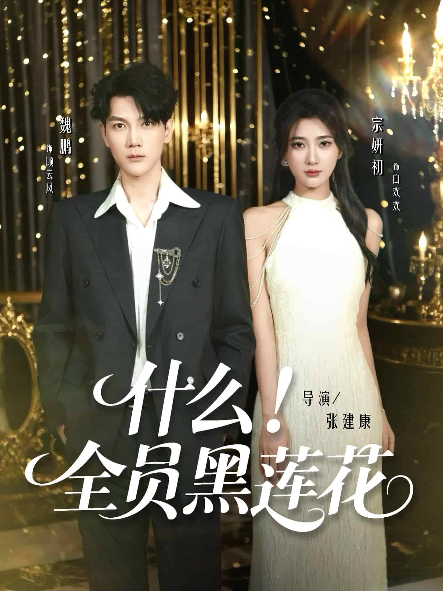 什么全员黑莲花封面图