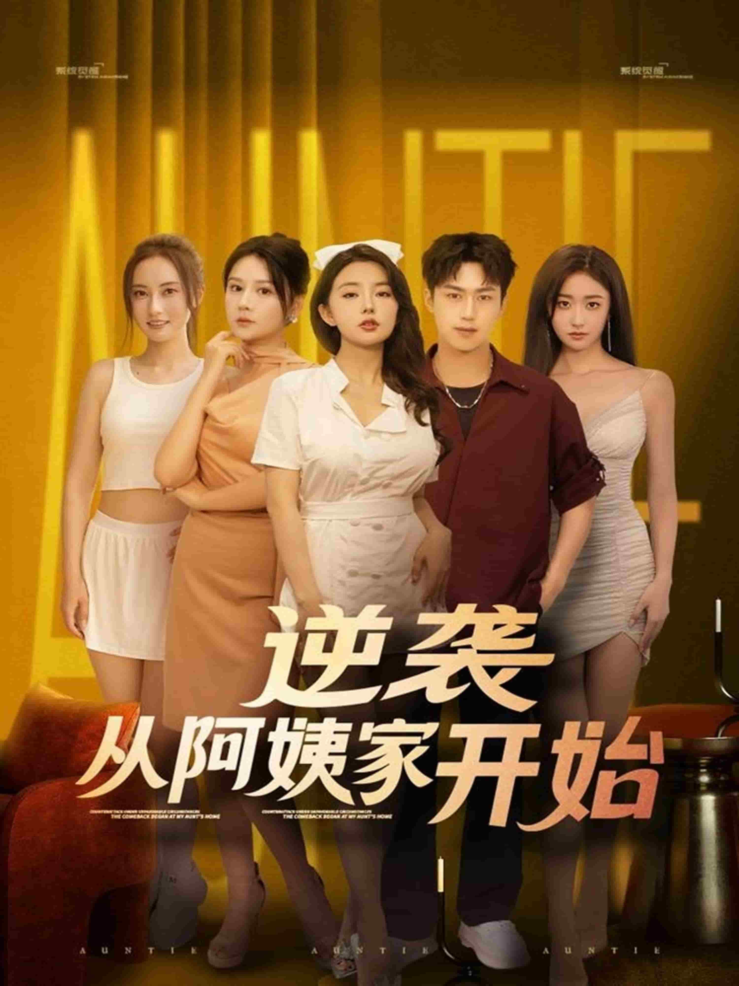 逆袭从阿姨家开始封面图