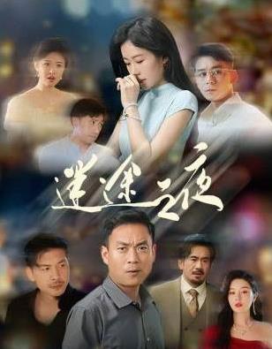 迷途之夜封面图