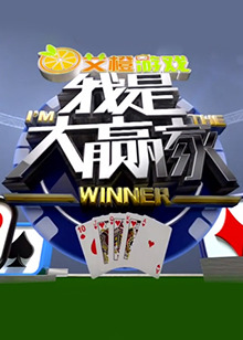 我是大赢家2014封面图