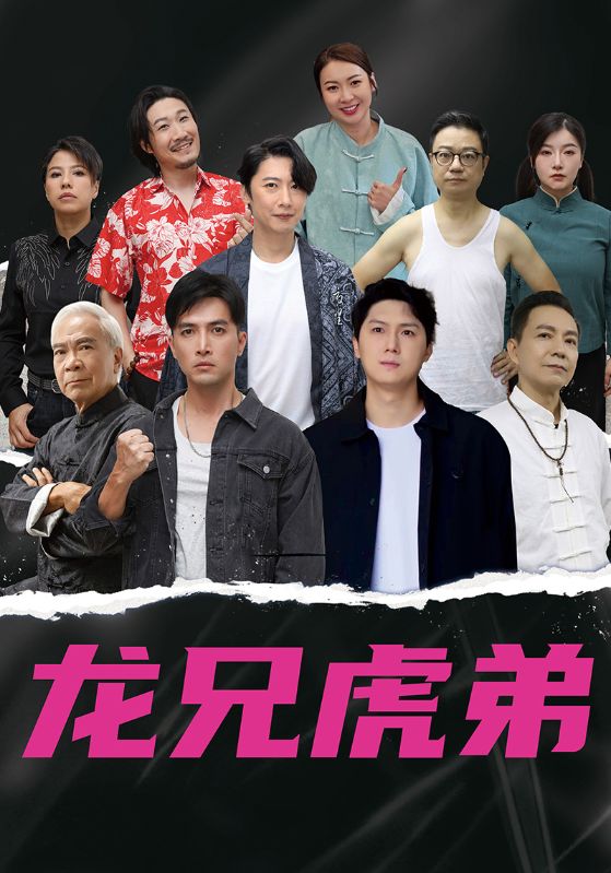 龙兄虎弟 中文版封面图