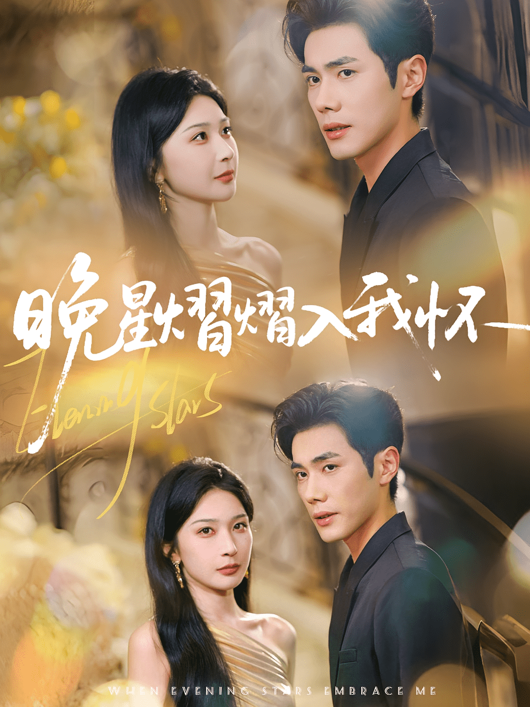 晚星熠熠入我怀封面图