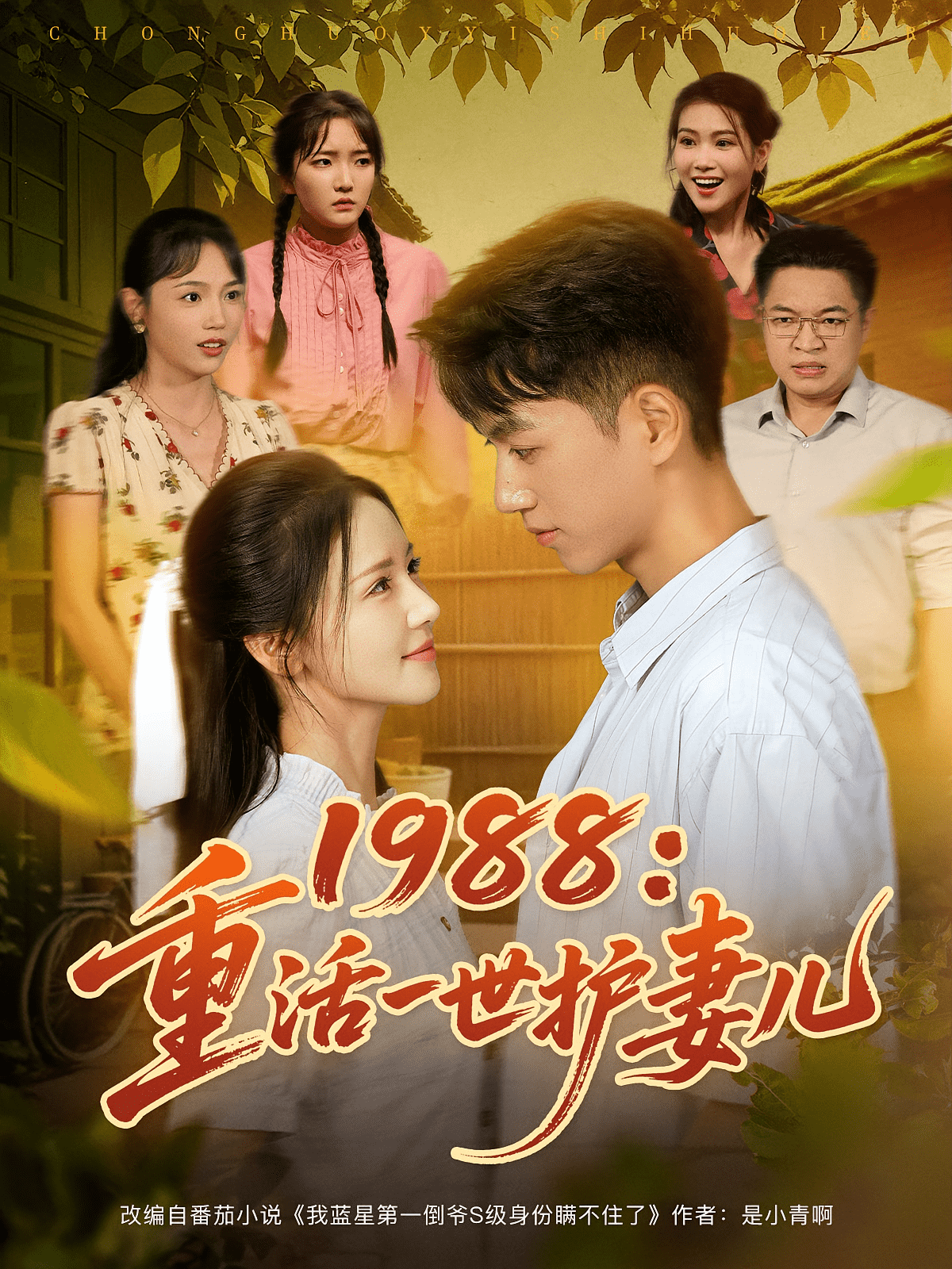 1988重活一世护妻儿封面图