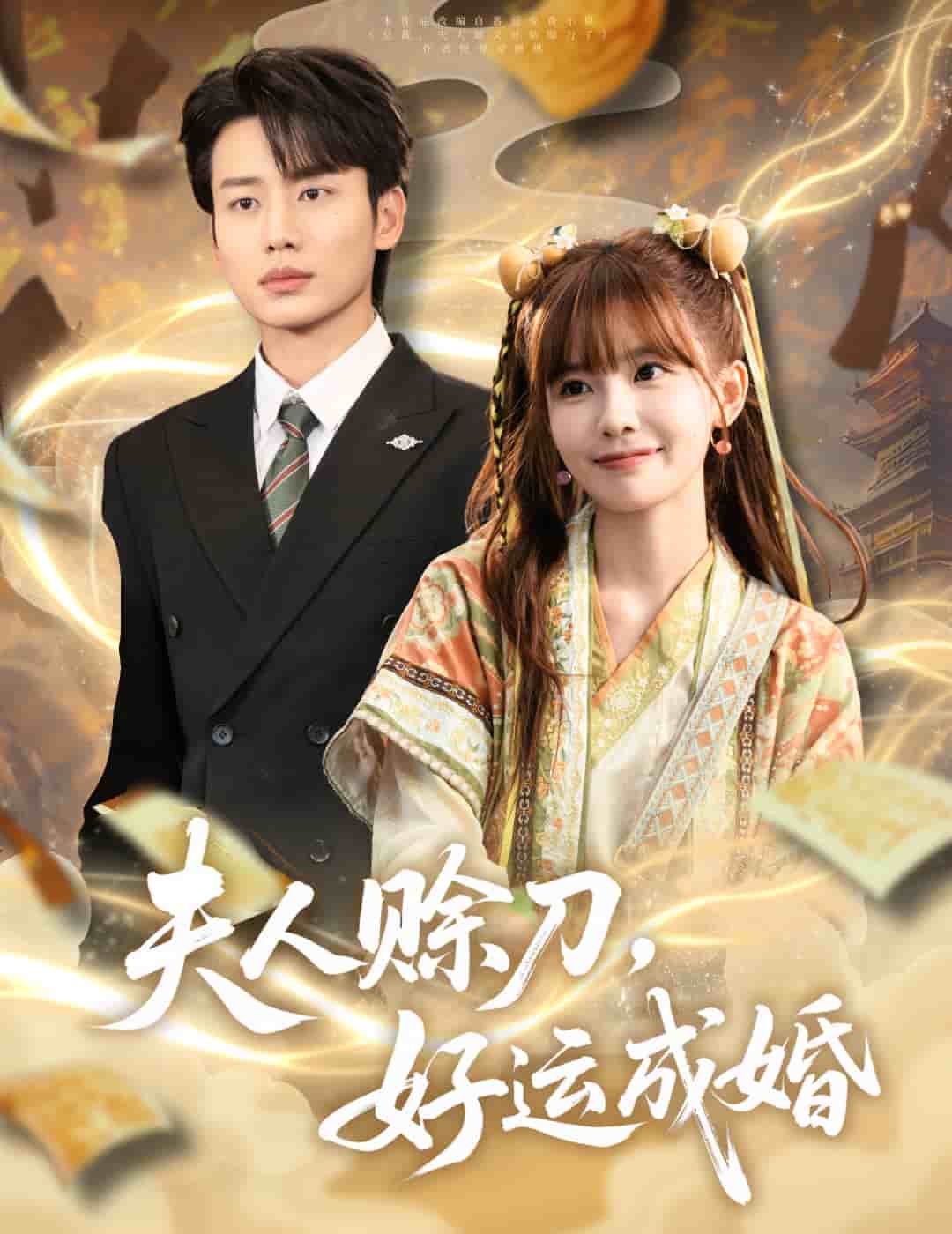 夫人赊刀好运成婚封面图