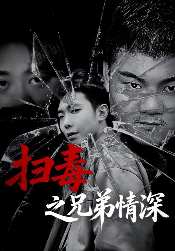 扫毒之兄弟情深封面图