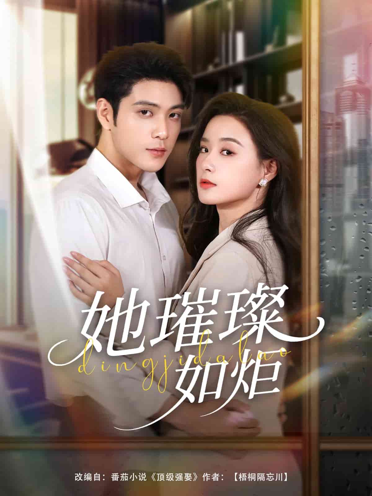 她璀璨如炬封面图