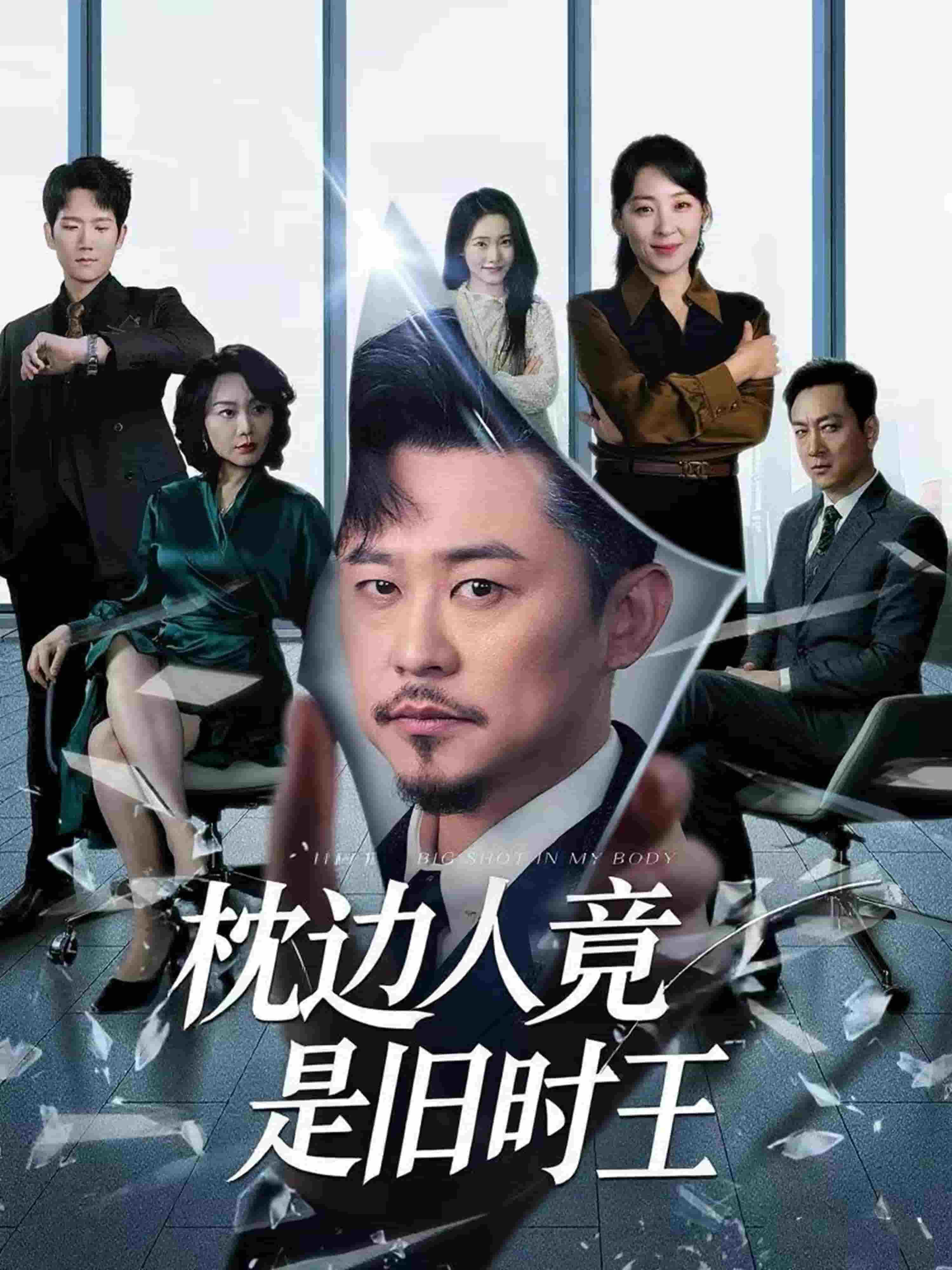 枕边人竟是旧时王封面图