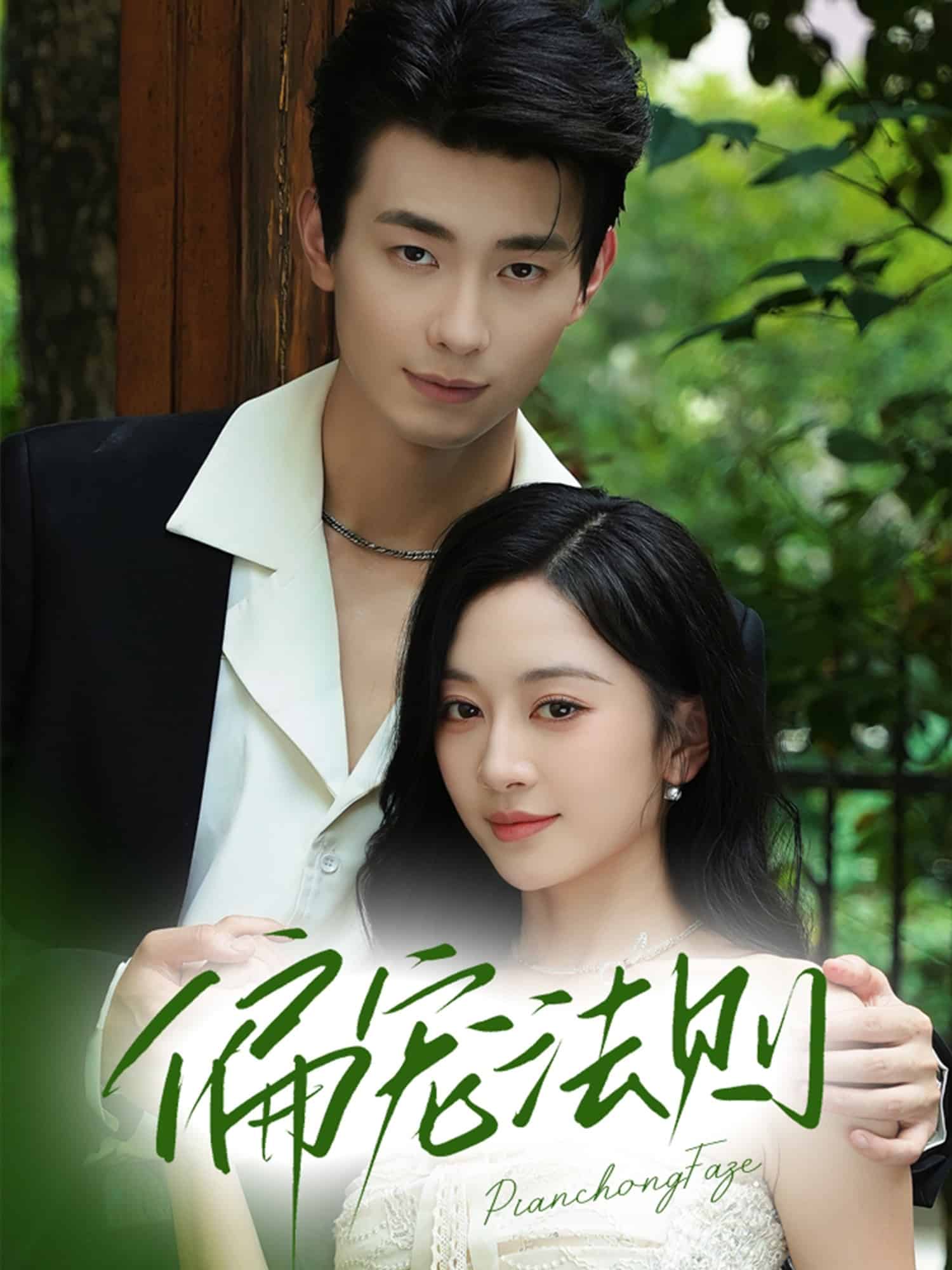 偏宠法则封面图