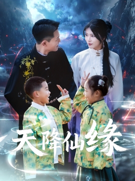 天降仙缘封面图