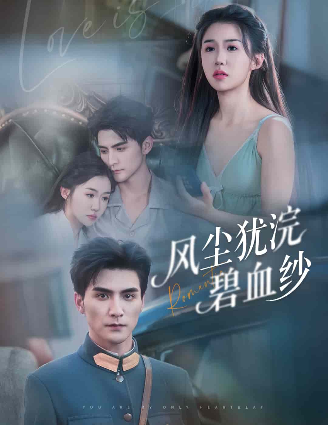 风尘犹浣碧血纱封面图