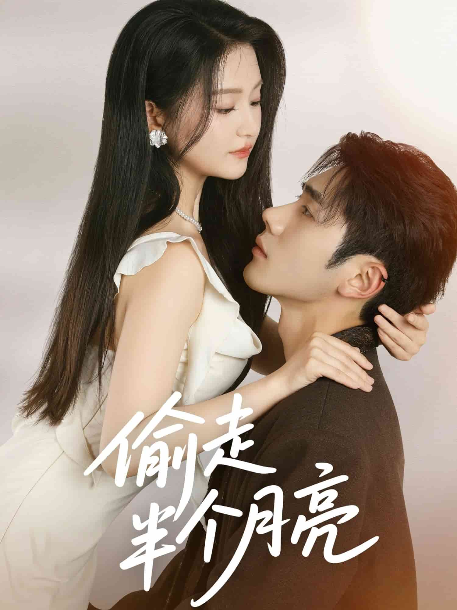 偷走半个月亮封面图