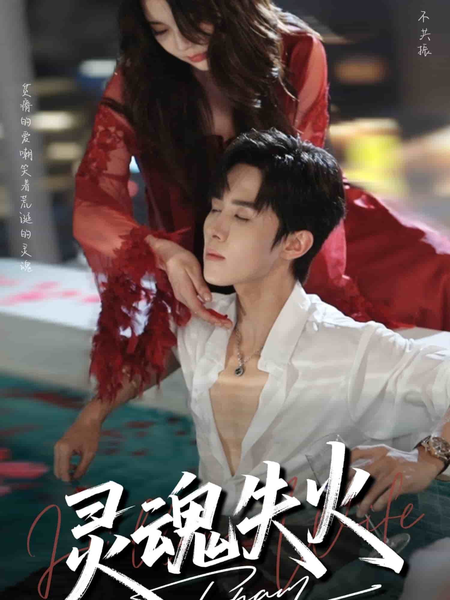 灵魂失火封面图