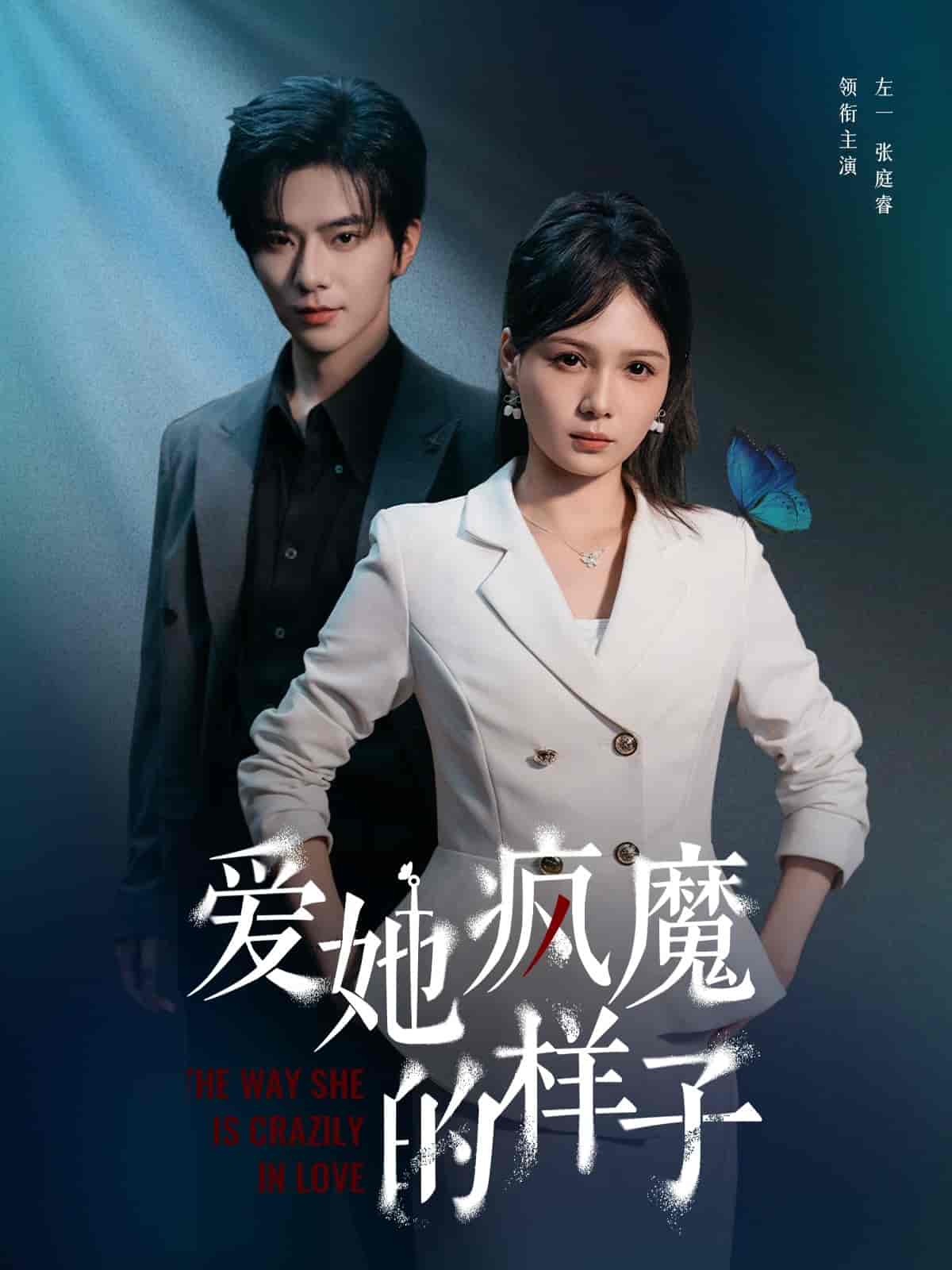 爱她疯魔的样子封面图