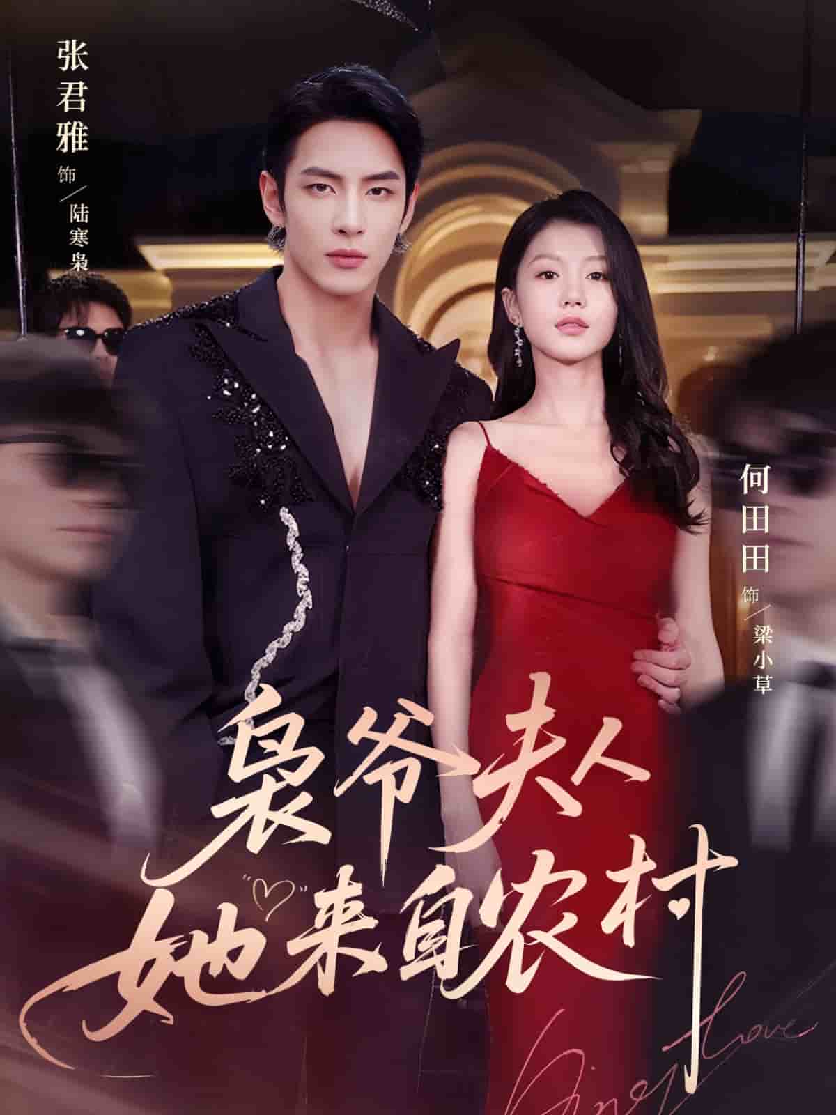 枭爷夫人她来自农村封面图