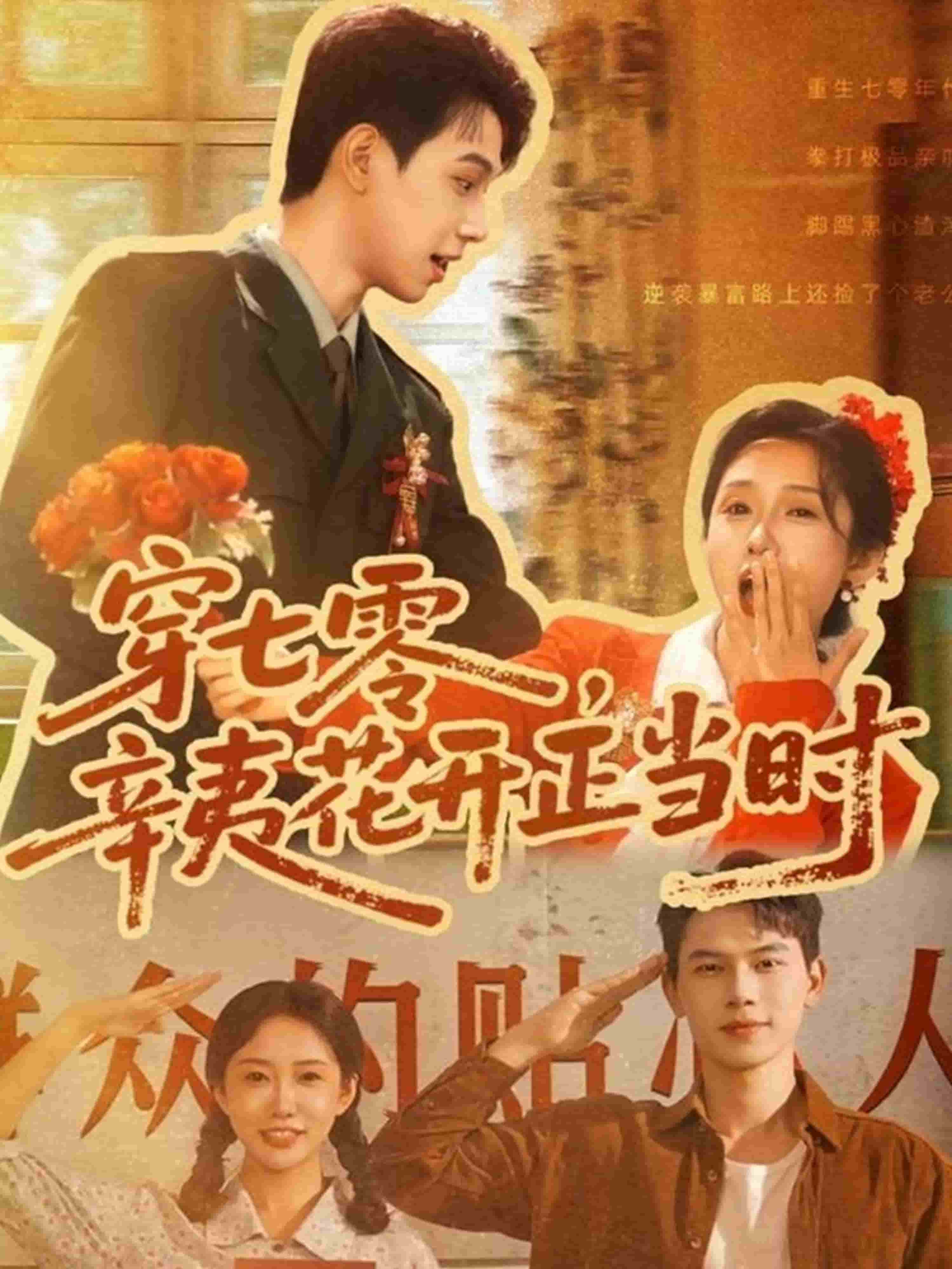 穿七零辛夷花开正当时封面图