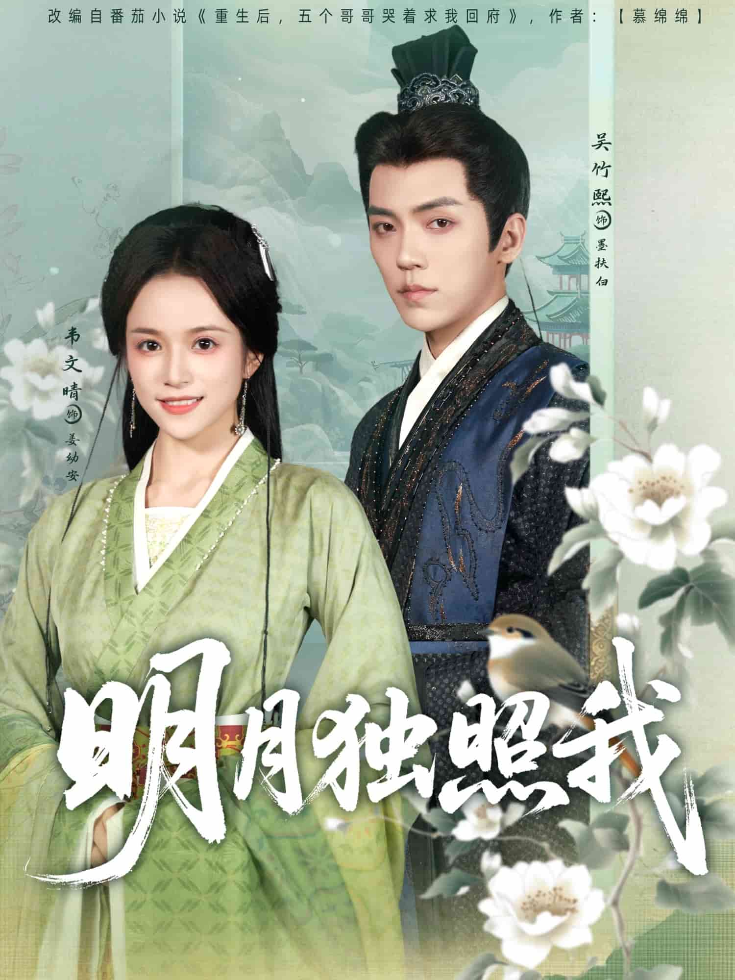 明月独照我封面图