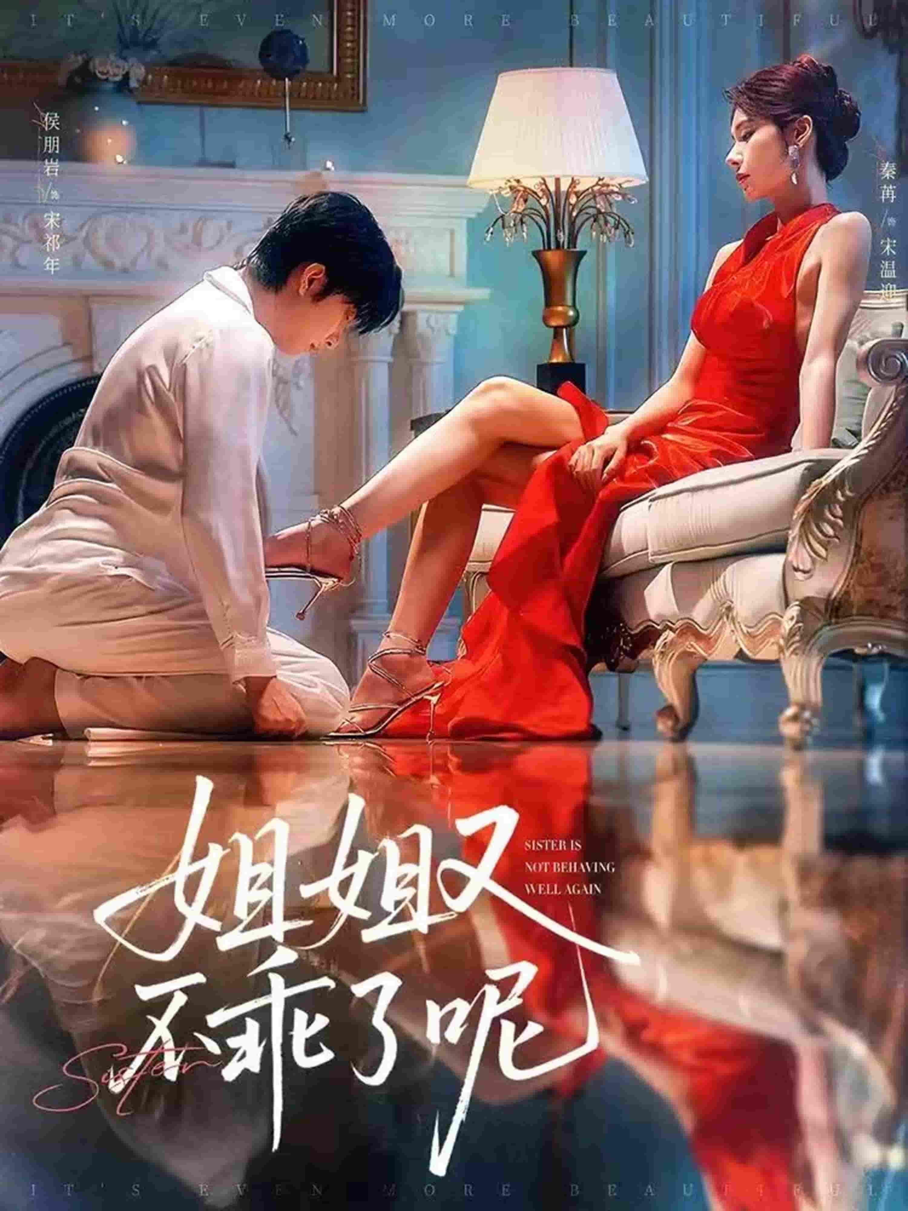 姐姐又不乖了呢封面图