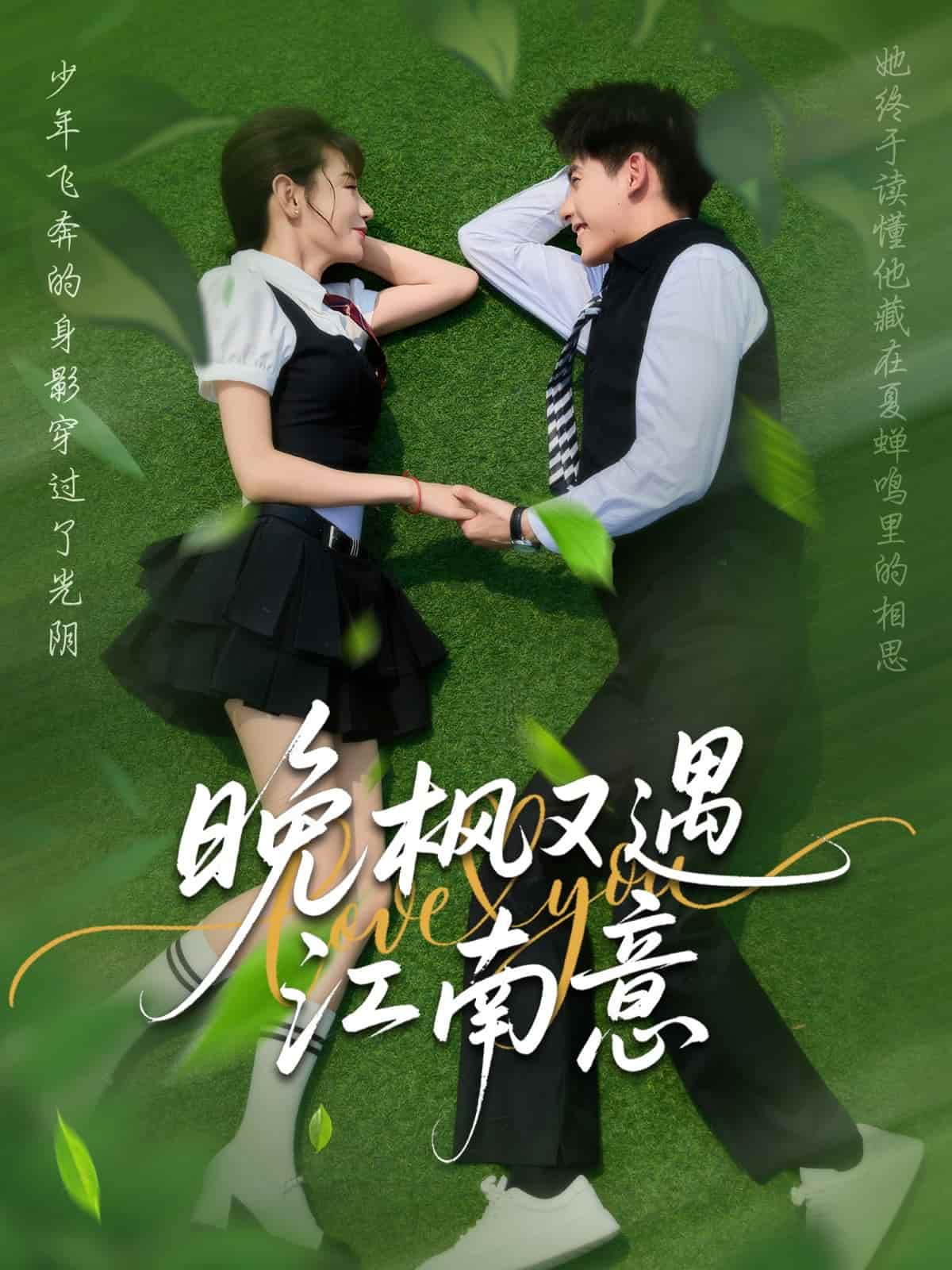 晚枫又遇江南意封面图