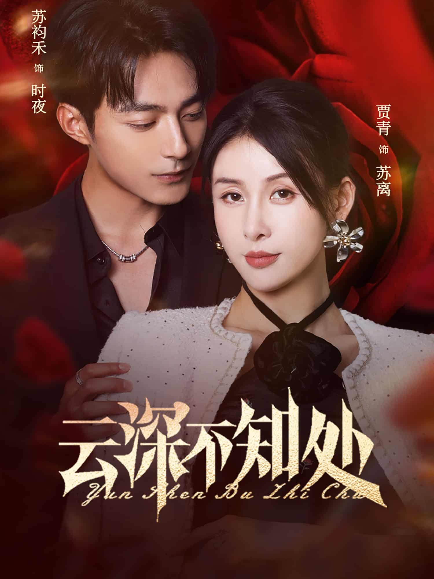 云深不知处封面图