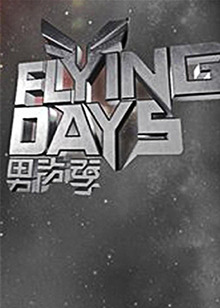 Flying Days2010封面图