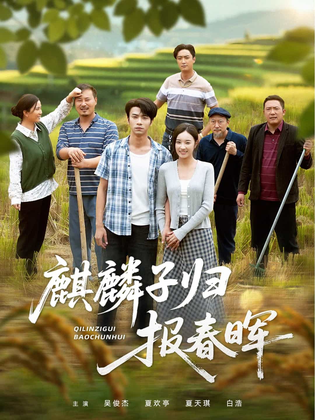 麒麟子归报春晖封面图