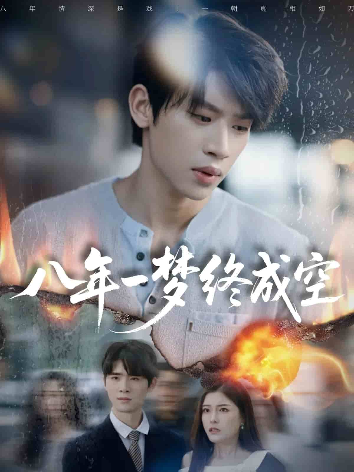 八年一梦终成空封面图