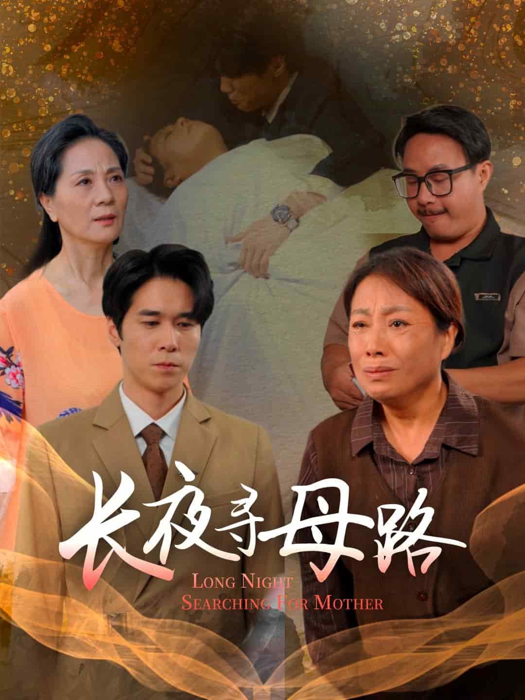 长夜寻母路封面图