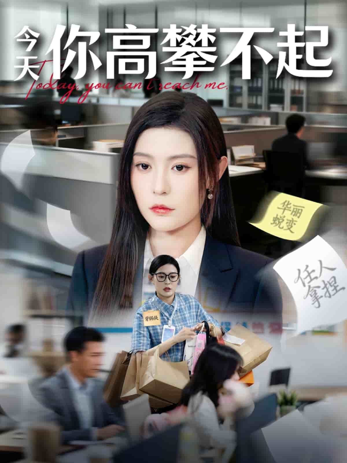 今天你高攀不起封面图