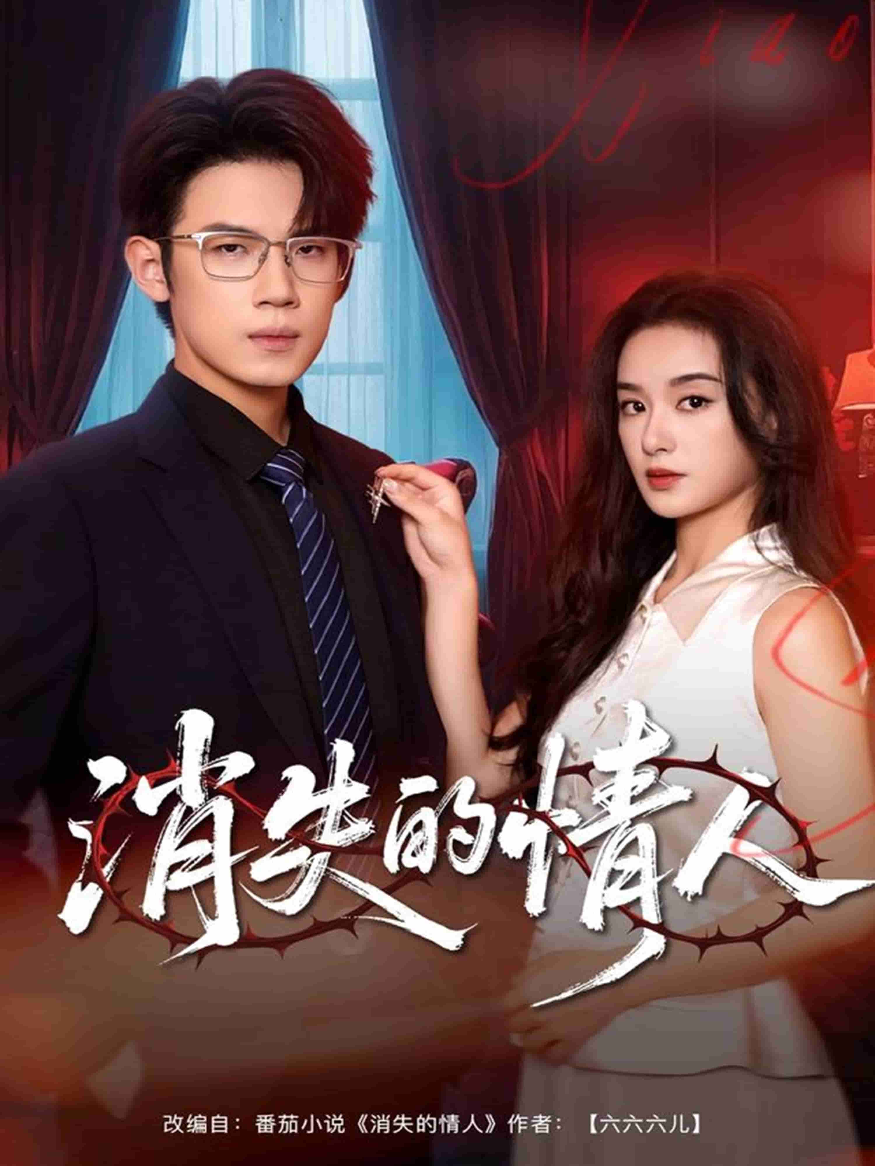 消失的情人封面图