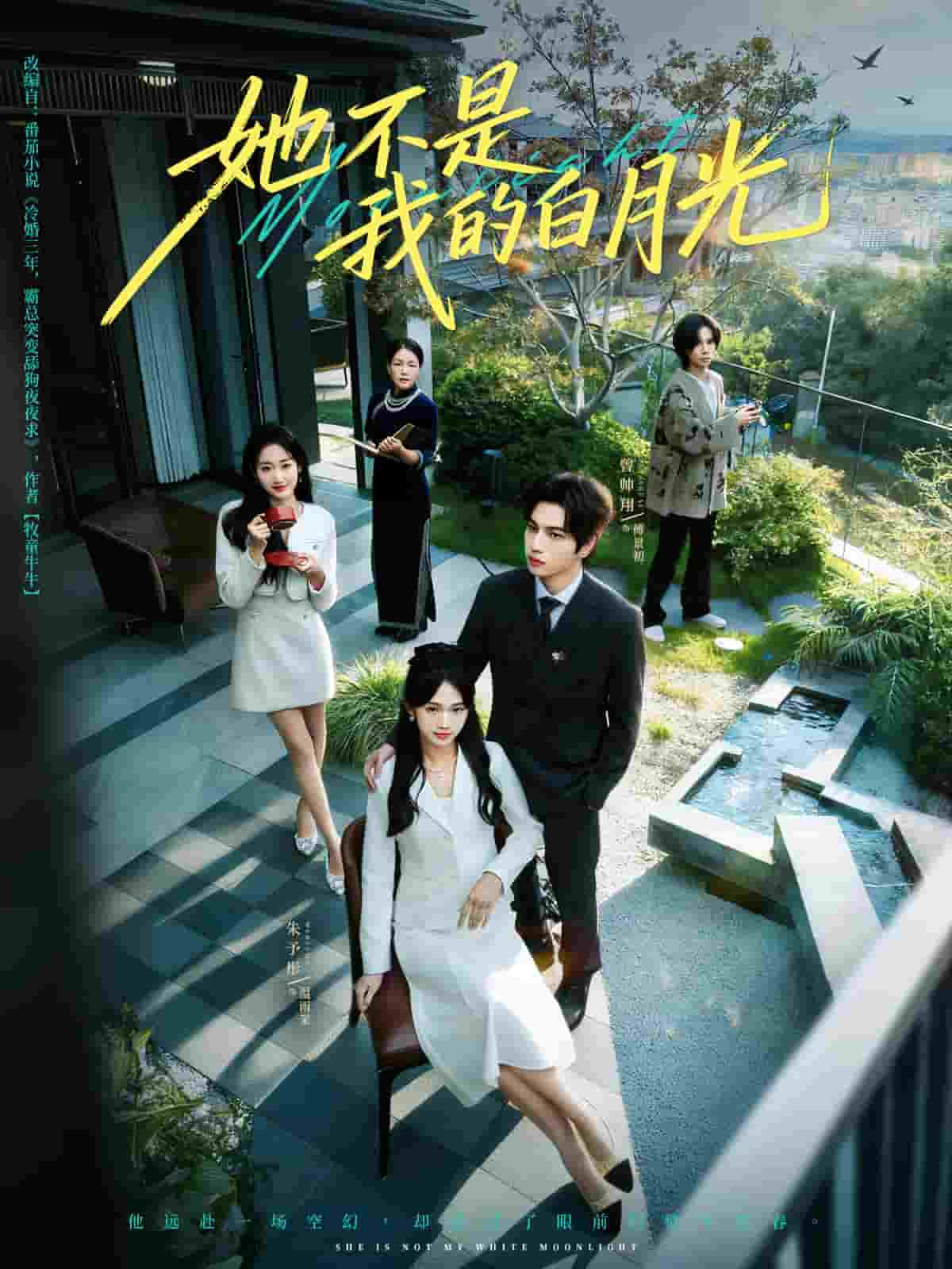 她不是我的白月光封面图