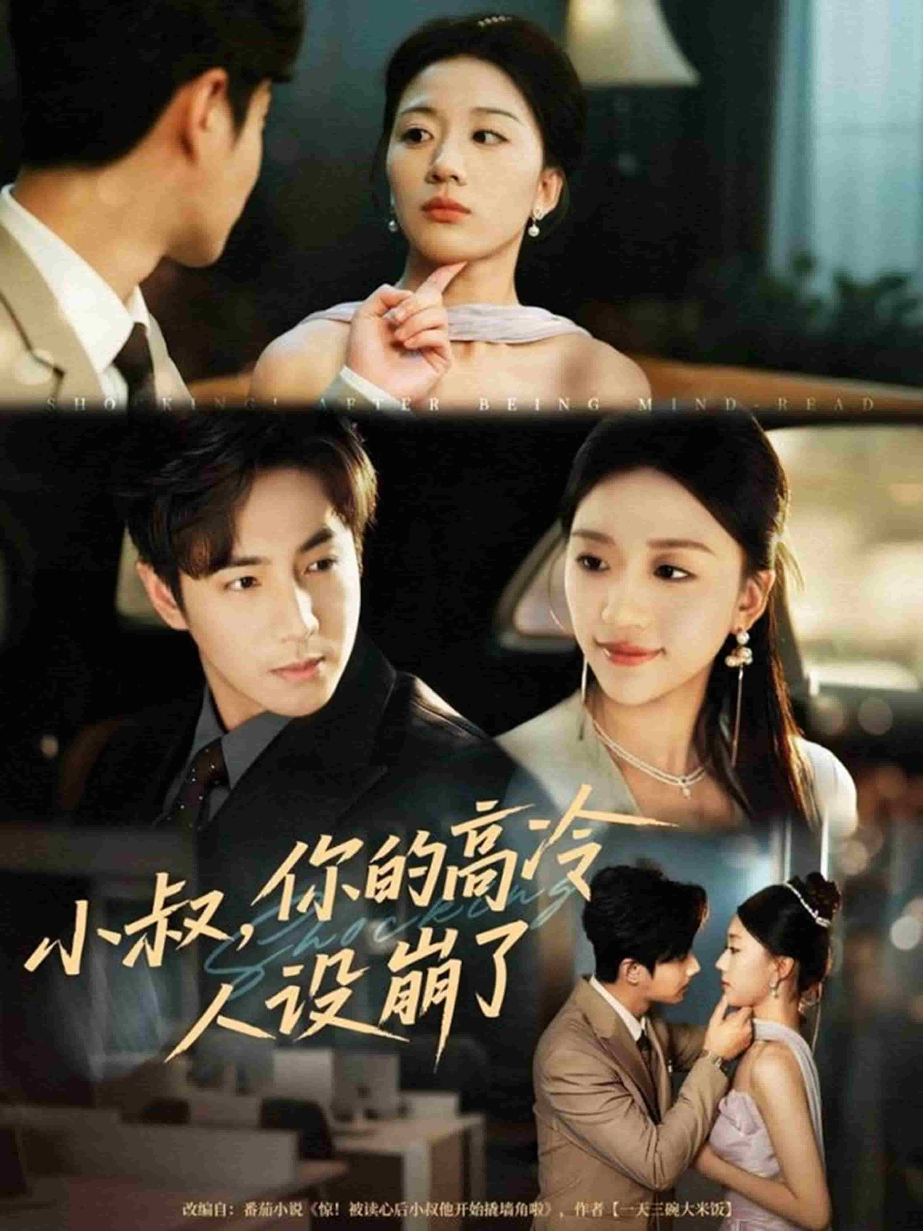 小叔，你的高冷人设崩了封面图