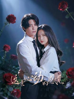 这是心动的感觉封面图